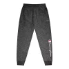 Boys 8-20 Champion® Script Fleece Joggers