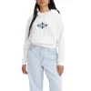 Women's Levi's® Silvertab™ Cropped Graphic Logo Hoodie