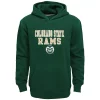 Boys 8-20 Colorado State Rams Team Slogan Fleece Hoodie