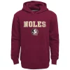 Boys 8-20 Florida State Seminoles Team Slogan Fleece Hoodie