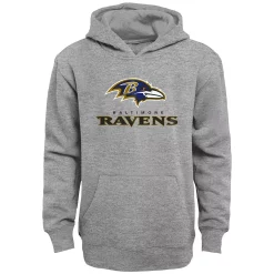 Kids 7-20 Baltimore Ravens Team Pride Fleece Hoodie